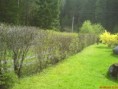 /album/fotogaleria/dsc00202-jpg/