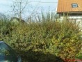 /album/fotogaleria/dsc00078-jpg/