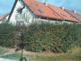 /album/fotogaleria/dsc00079-jpg/